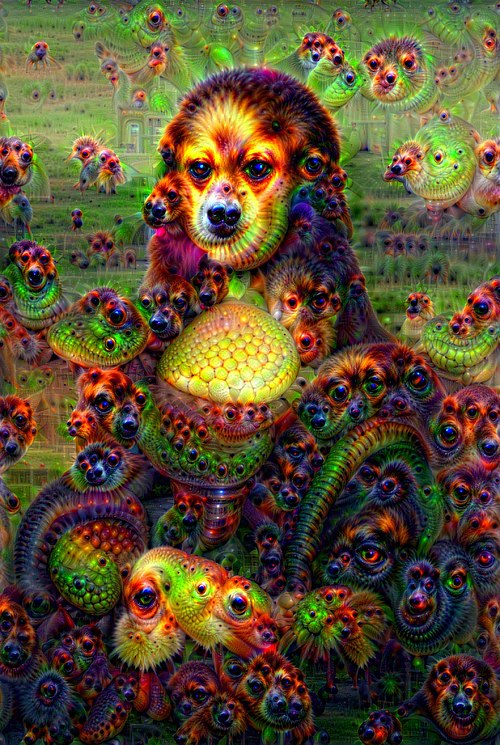 Google DeepDream